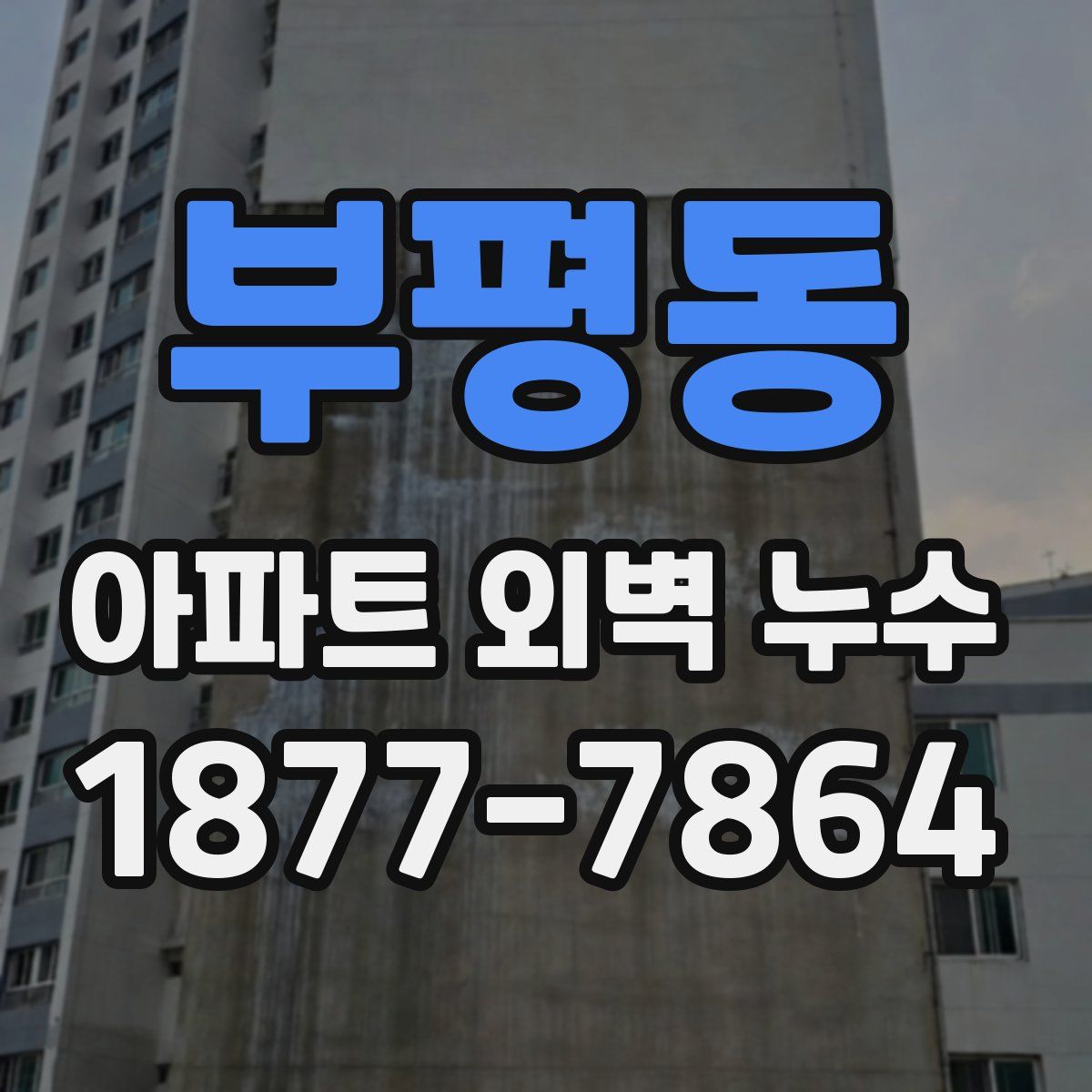 부평동 아파트 외벽 누수