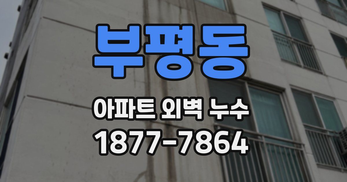 부평동 아파트 외벽 누수