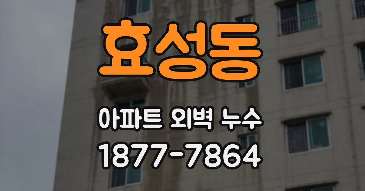 효성동 아파트 외벽 누수