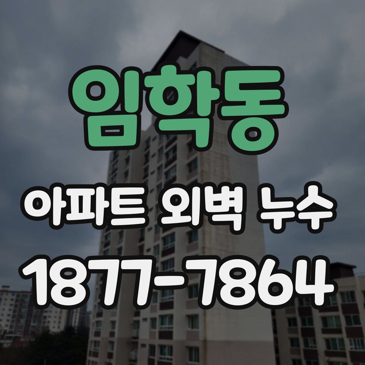 임학동 아파트 외벽 누수