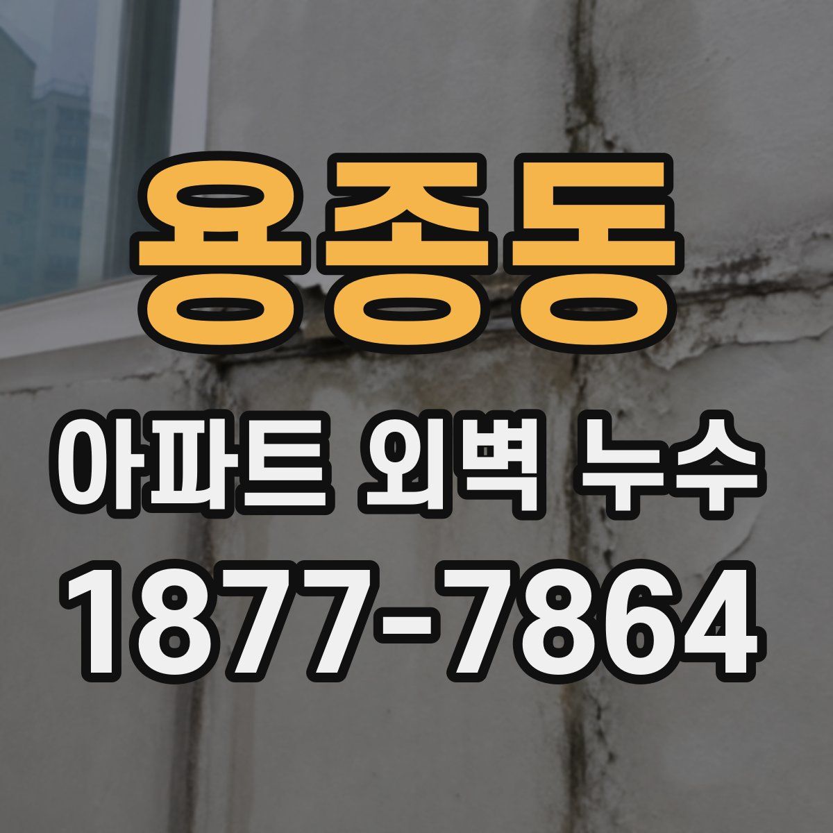 용종동 아파트 외벽 누수