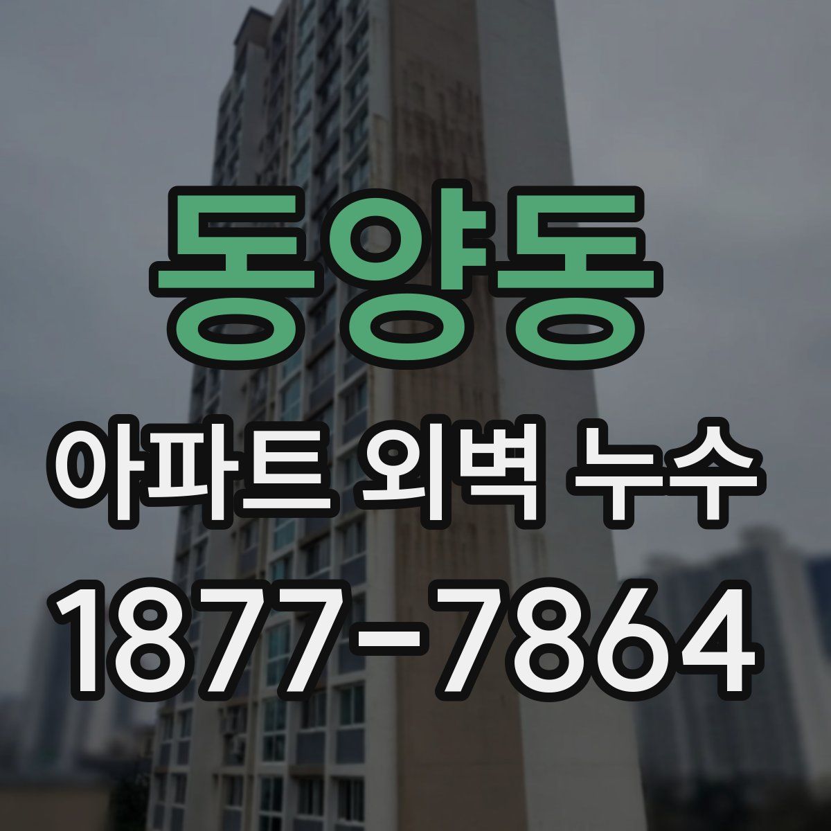 동양동 아파트 외벽 누수