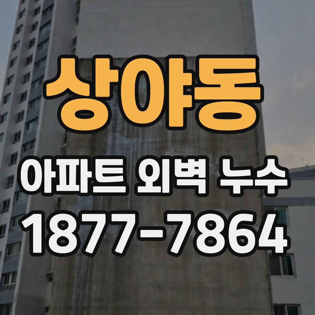 상야동 아파트 외벽 누수