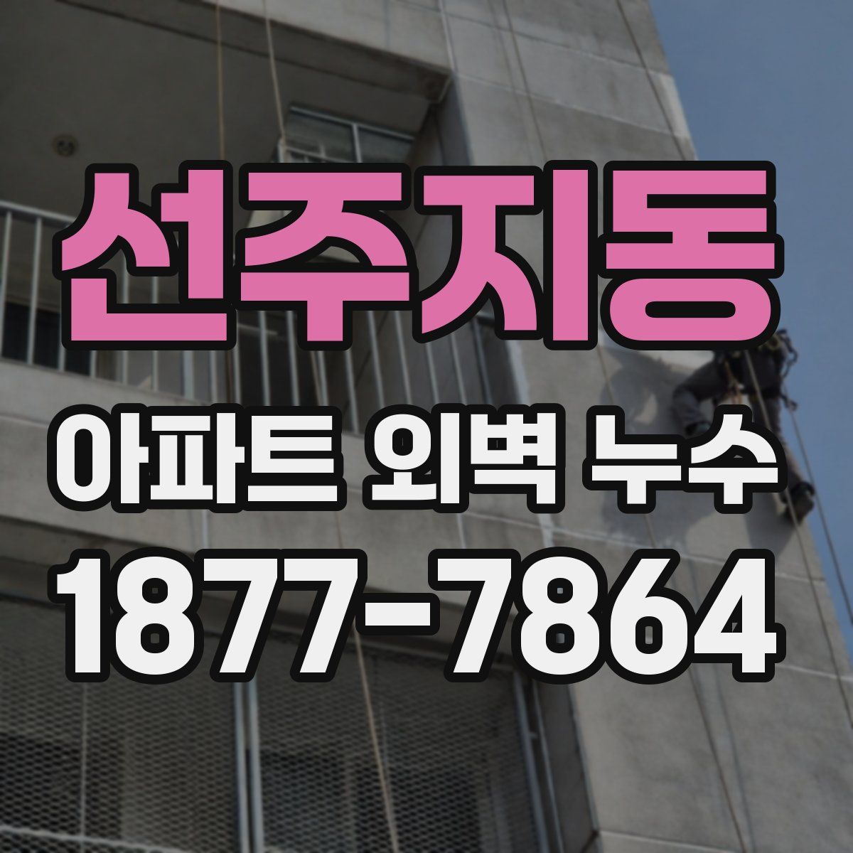 선주지동 아파트 외벽 누수