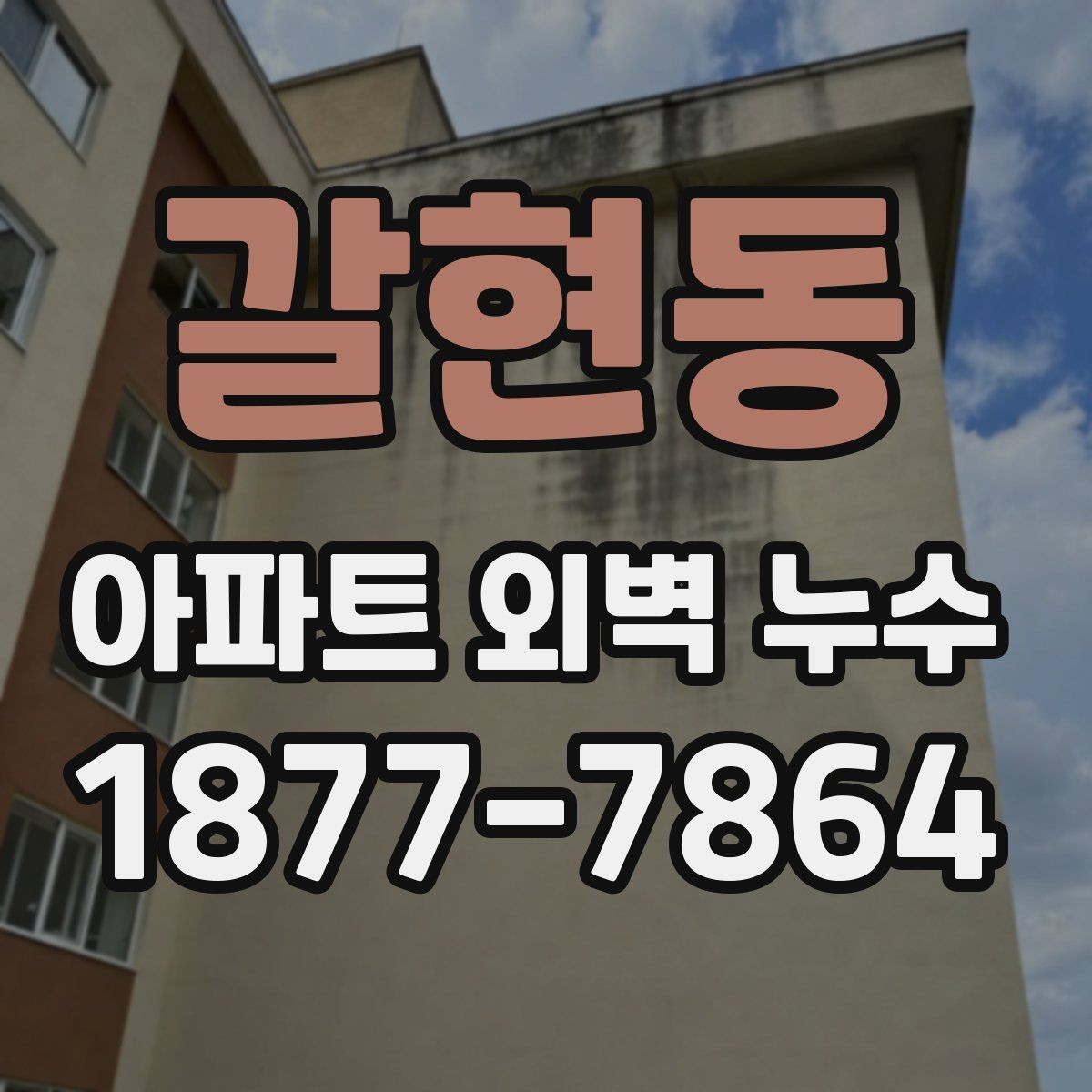 갈현동 아파트 외벽 누수 발생 시 세대가 할 일