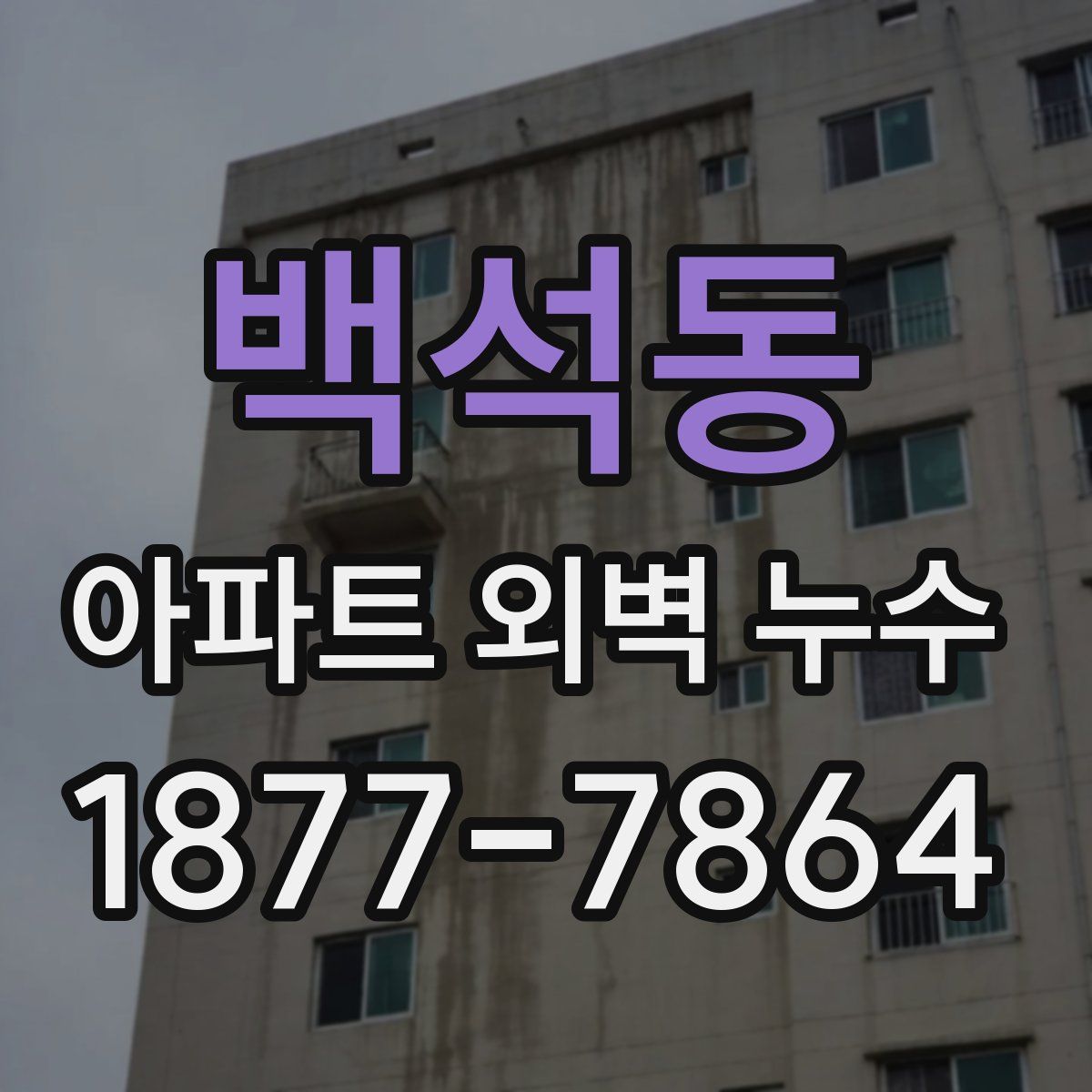 백석동 아파트 외벽 누수