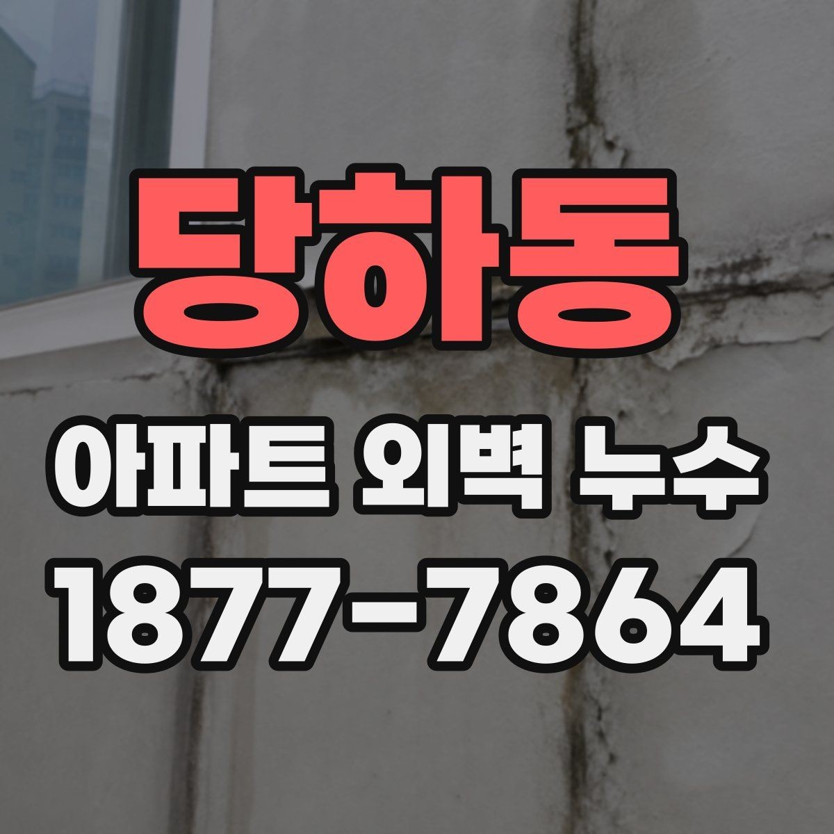 당하동 아파트 외벽 누수 진단은 어디서부터 볼까