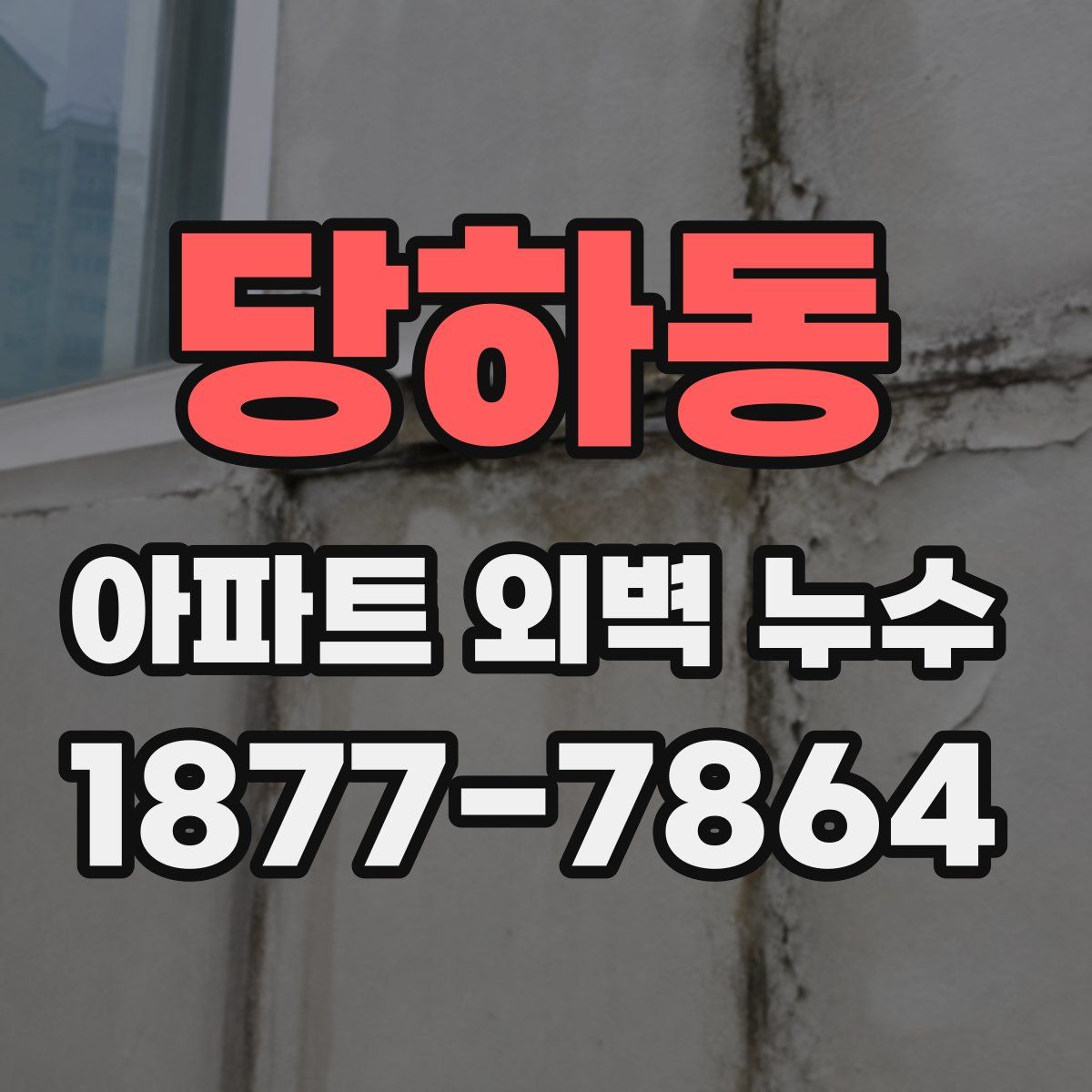 당하동 아파트 외벽 누수