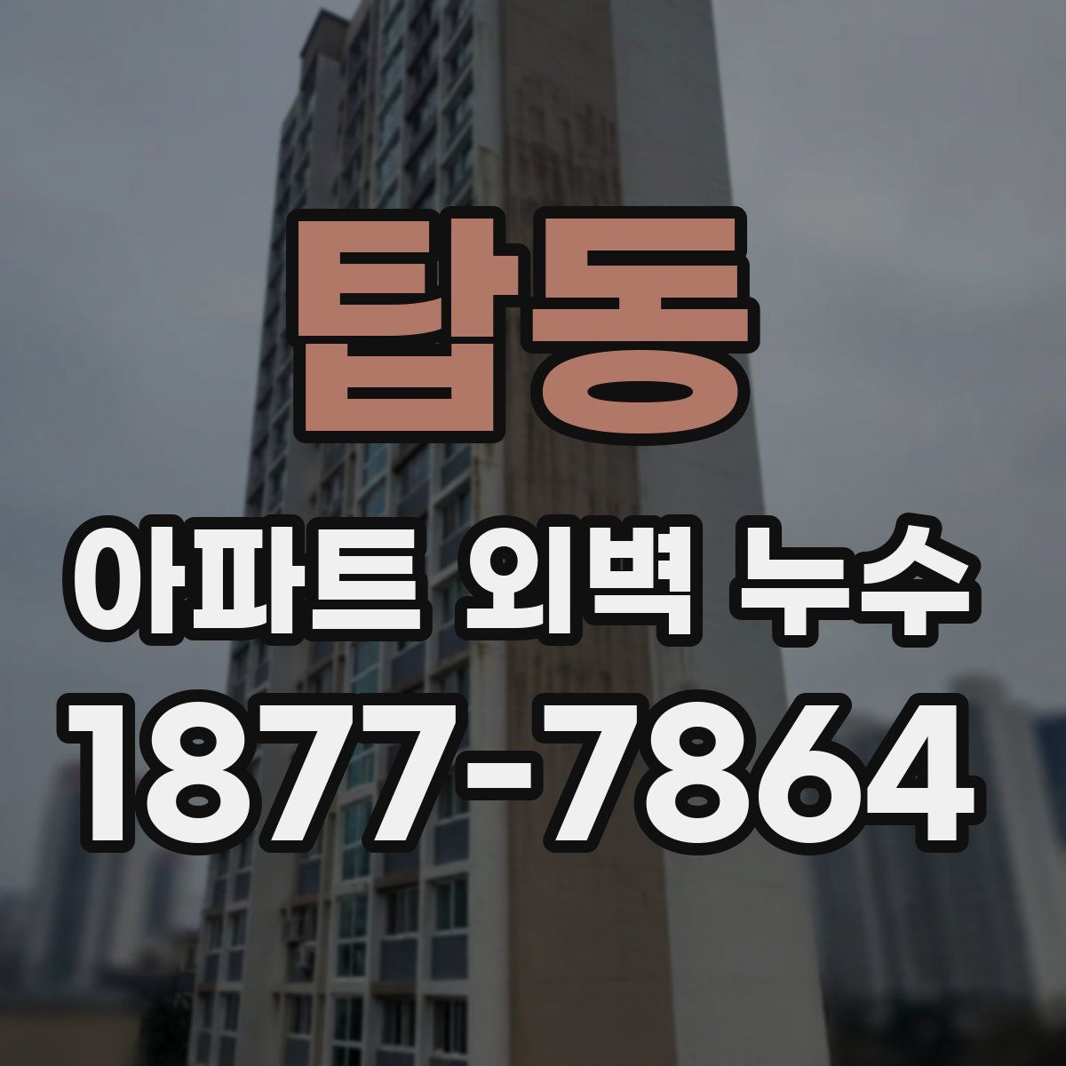 탑동 아파트 외벽 누수