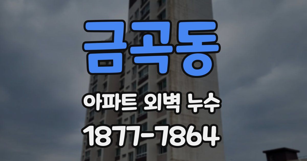 금곡동 아파트 외벽 누수