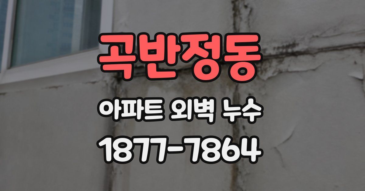 곡반정동 아파트 외벽 누수