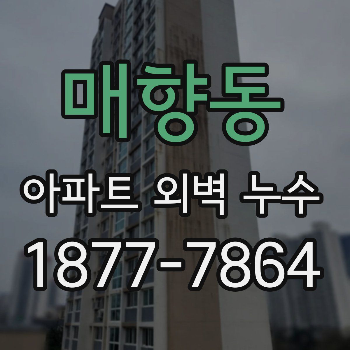 매향동 아파트 외벽 누수
