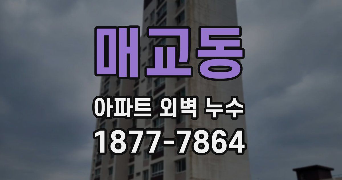 매교동 아파트 외벽 누수