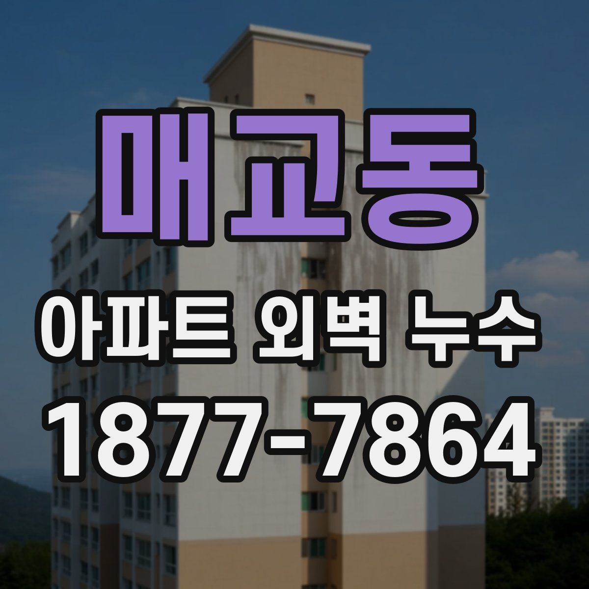 매교동 아파트 외벽 누수