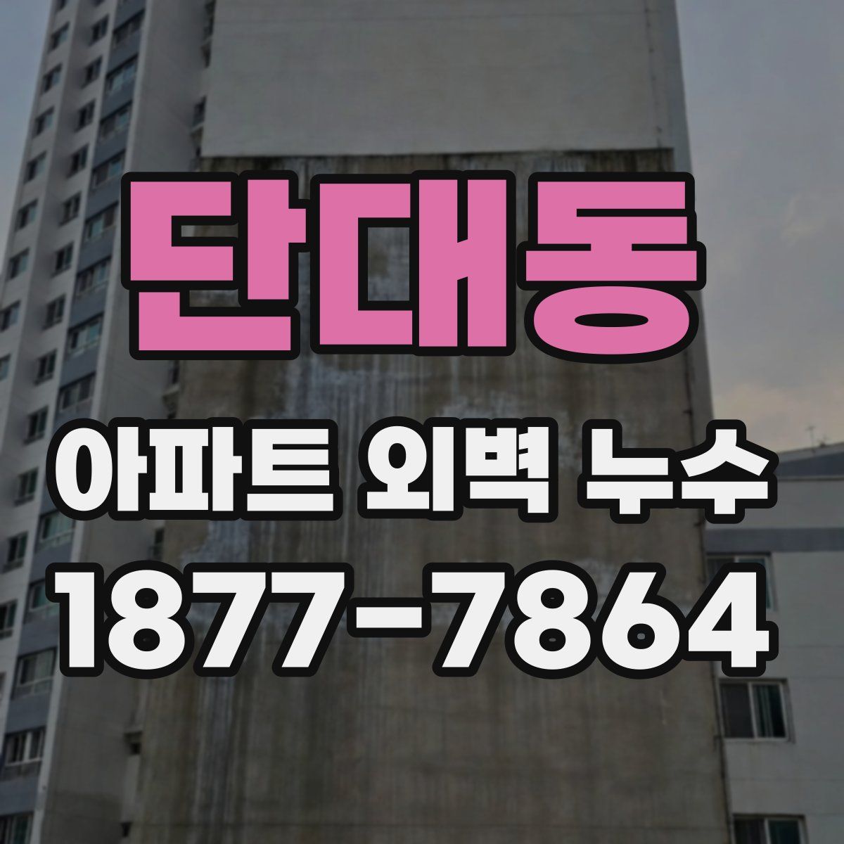 단대동 아파트 외벽 누수