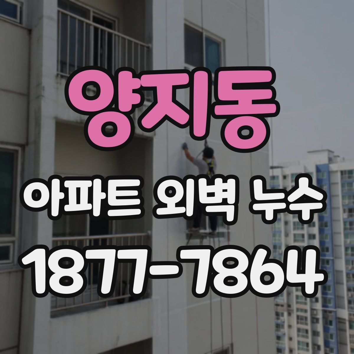 양지동 아파트 외벽 누수