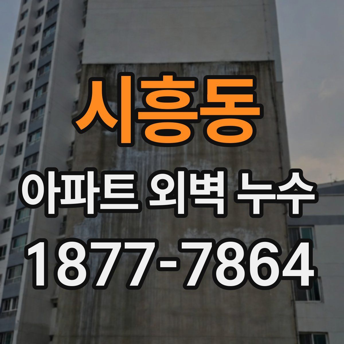 시흥동 아파트 외벽 누수