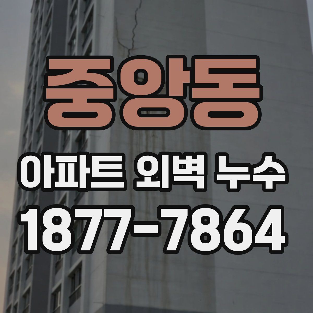 중앙동 아파트 외벽 누수 현장 점검에서 놓치기 쉬운 부분
