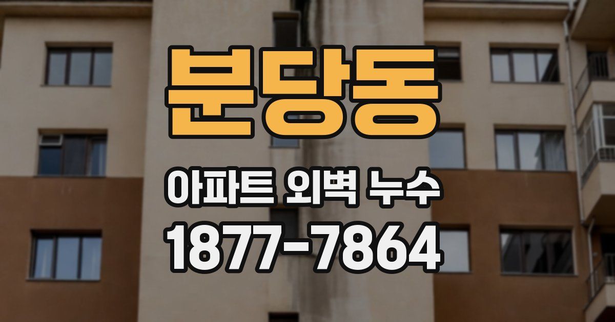 분당동 아파트 외벽 누수