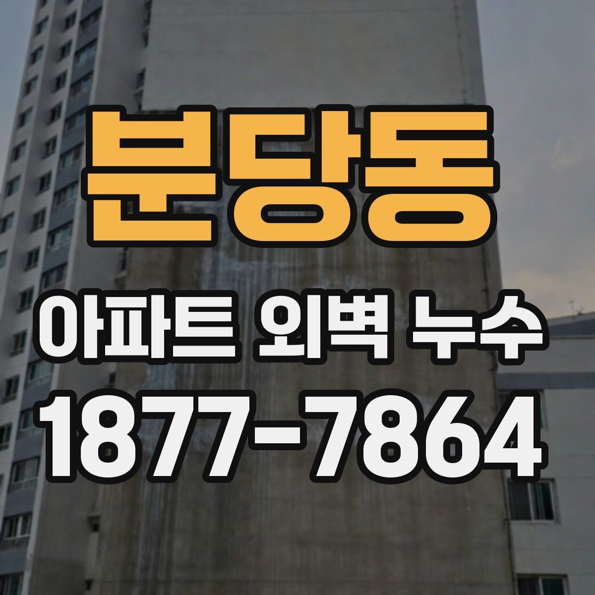분당동 아파트 외벽 누수