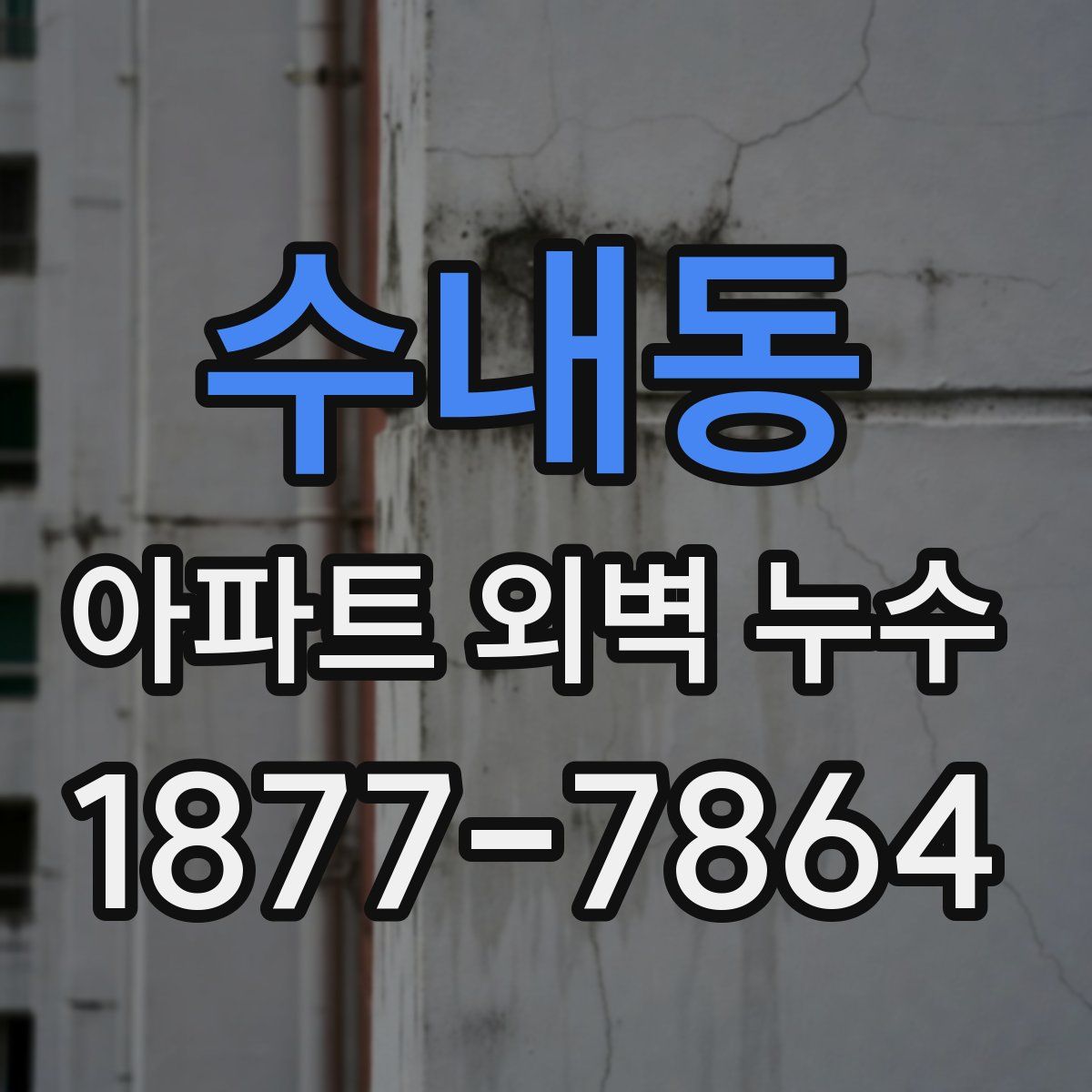 수내동 아파트 외벽 누수