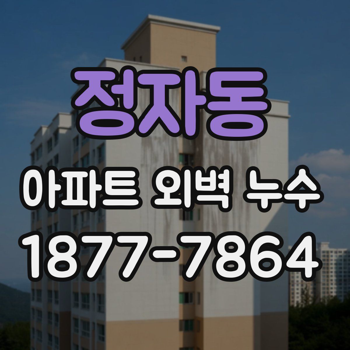 정자동 아파트 외벽 누수