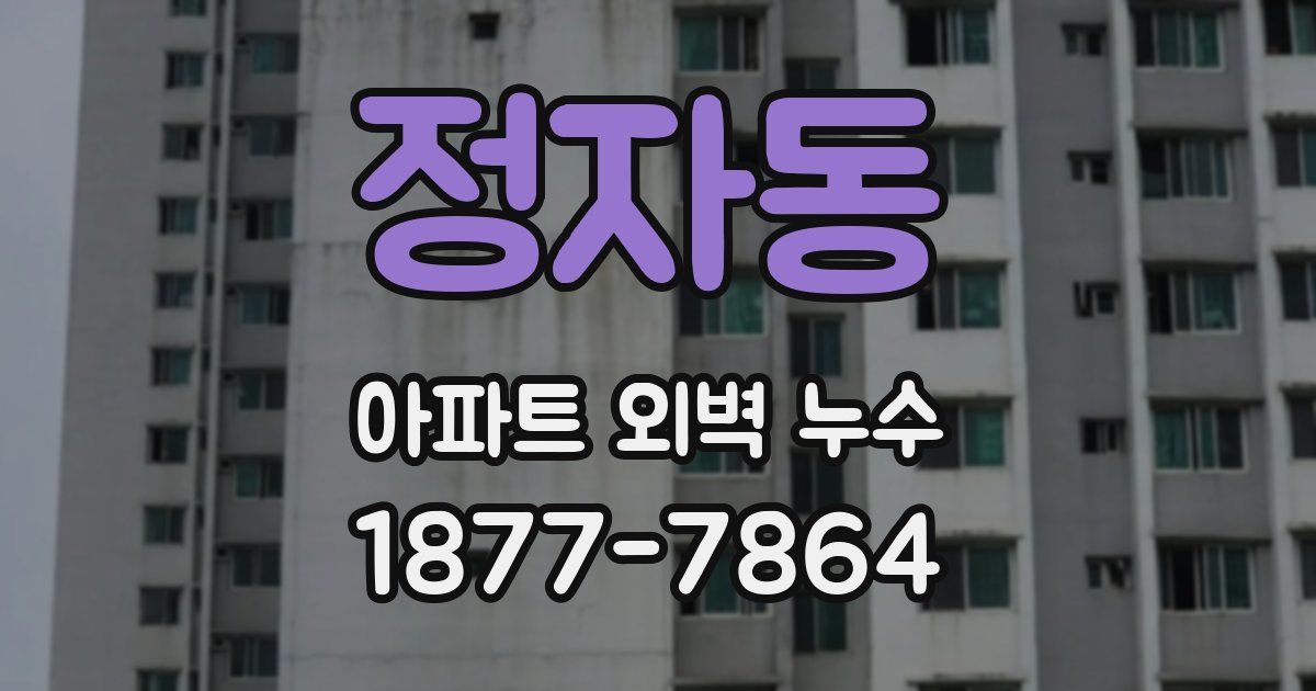 정자동 아파트 외벽 누수