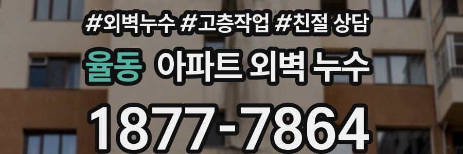 율동 아파트 외벽 누수