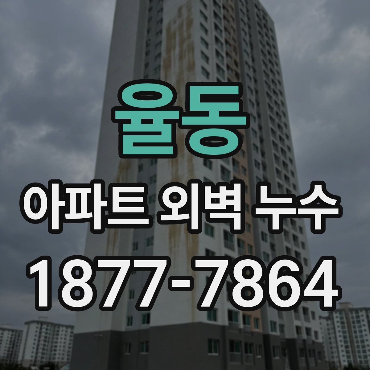율동 아파트 외벽 누수