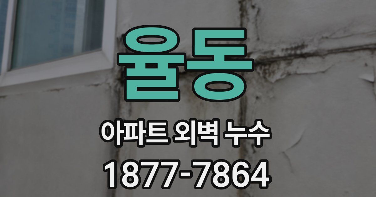 율동 아파트 외벽 누수