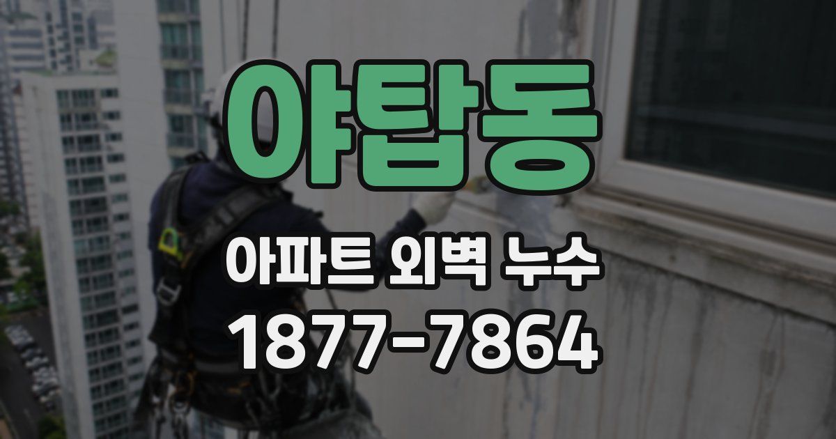 야탑동 아파트 외벽 누수