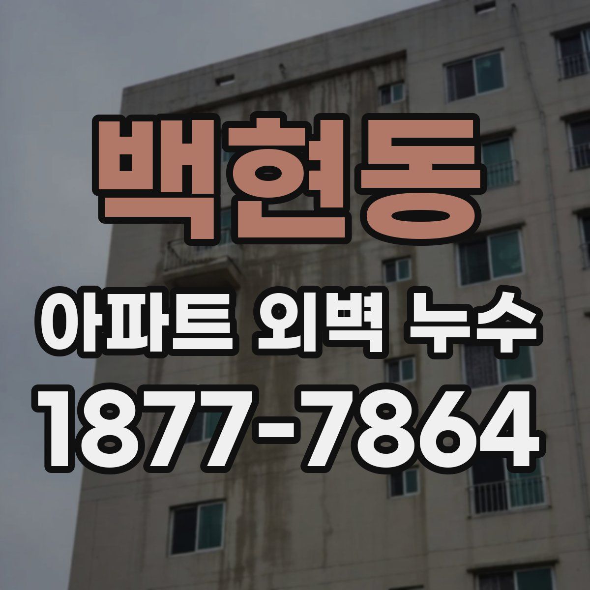 백현동 아파트 외벽 누수