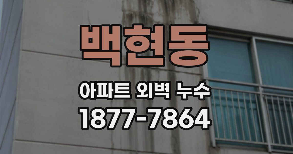 백현동 아파트 외벽 누수