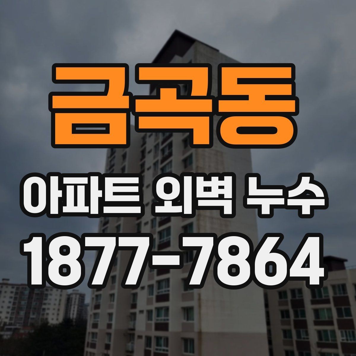 금곡동 아파트 외벽 누수 발생 시 관리주체와 확인할 점
