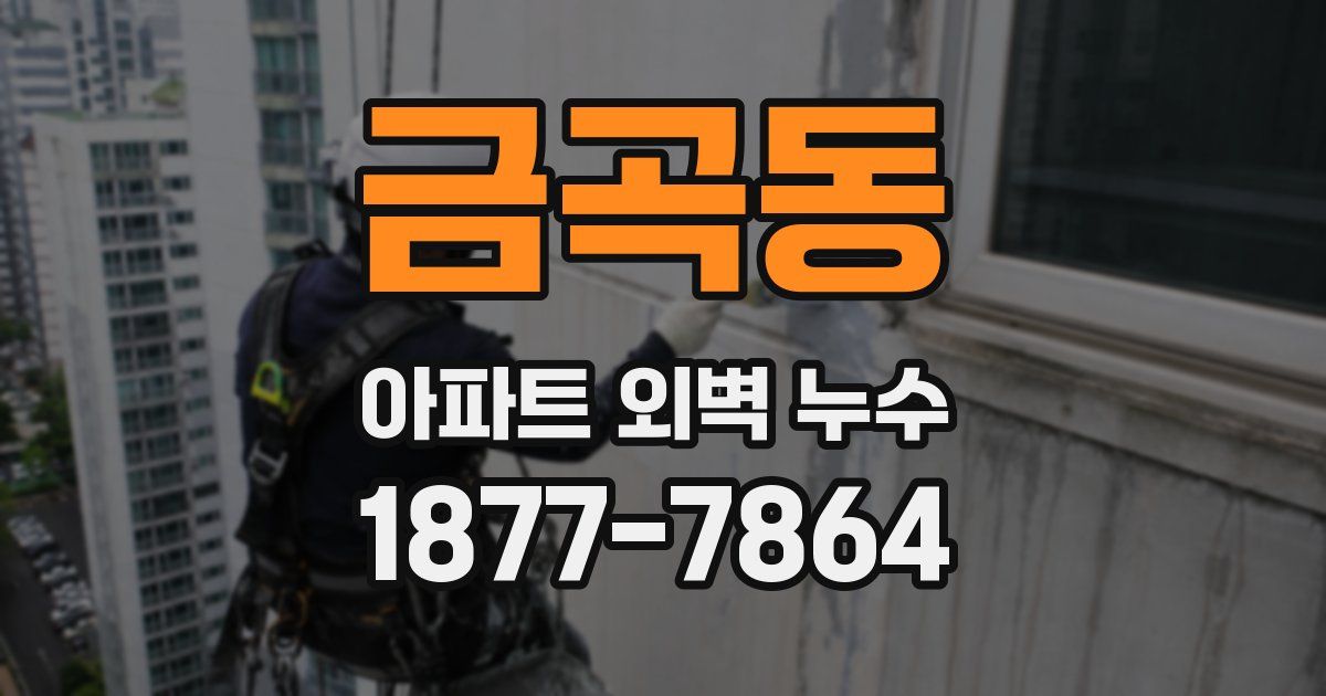 금곡동 아파트 외벽 누수