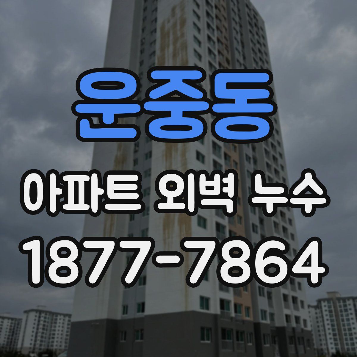 운중동 아파트 외벽 누수