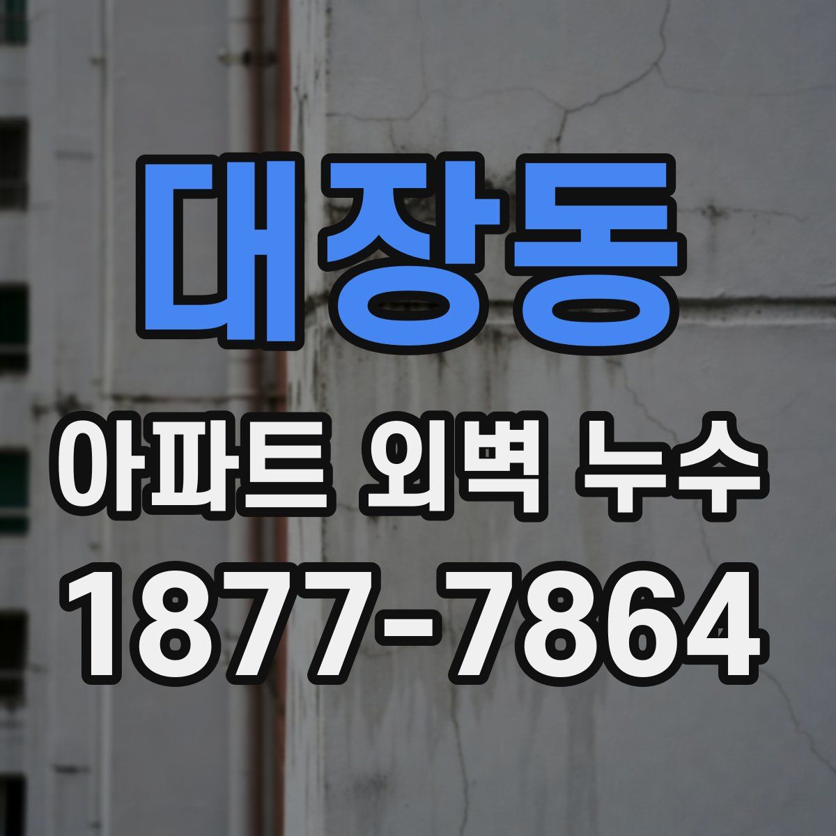 대장동 아파트 외벽 누수
