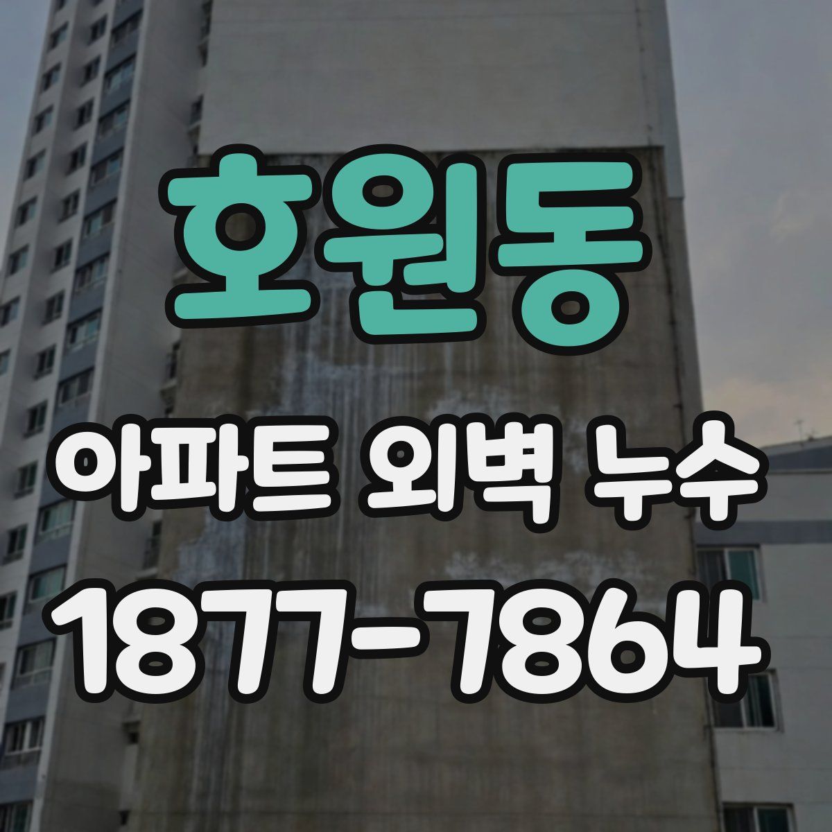 호원동 아파트 외벽 누수