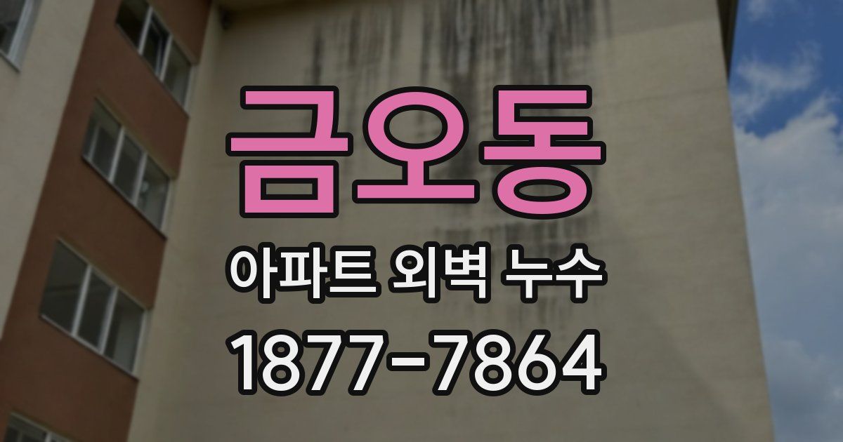 금오동 아파트 외벽 누수