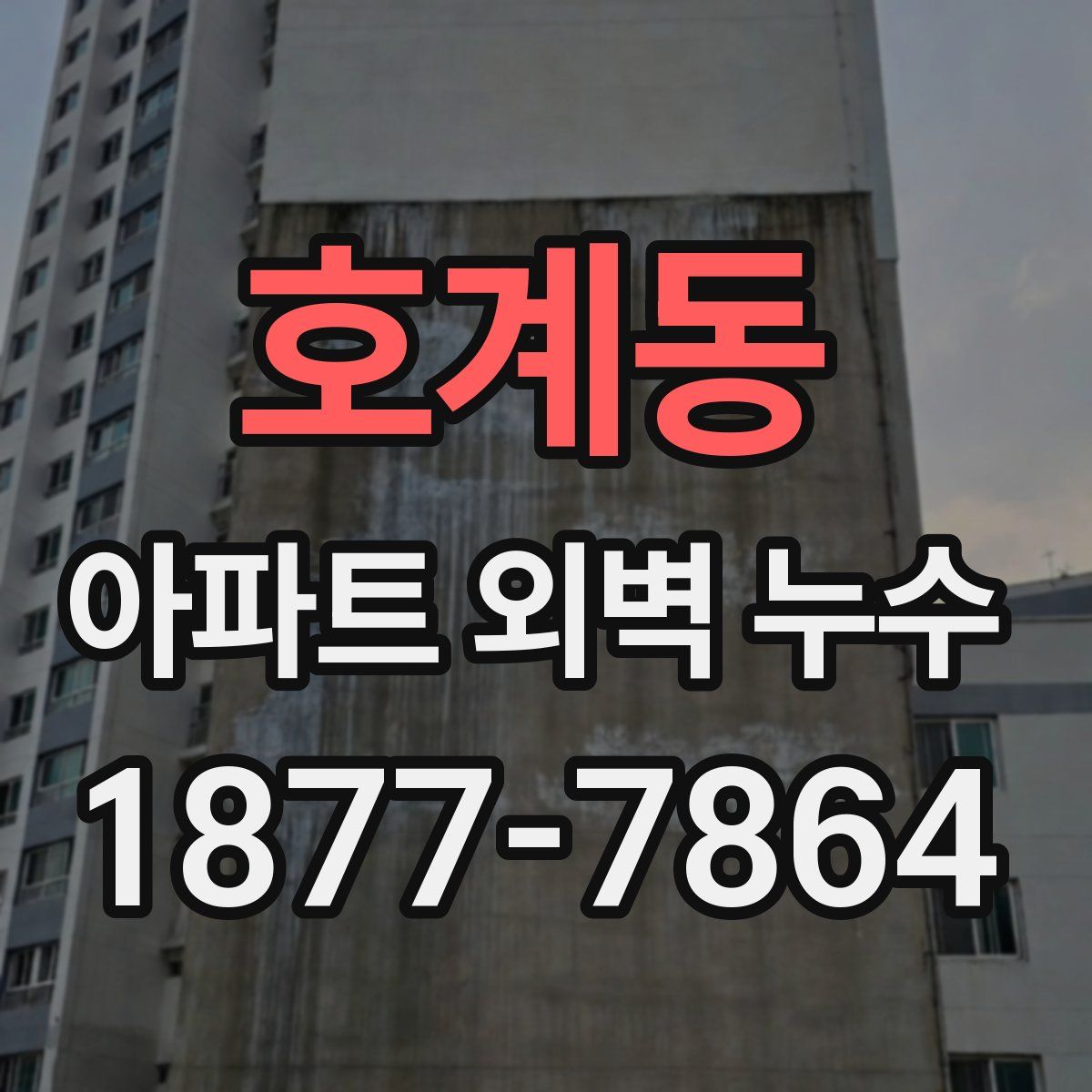 호계동 아파트 외벽 누수