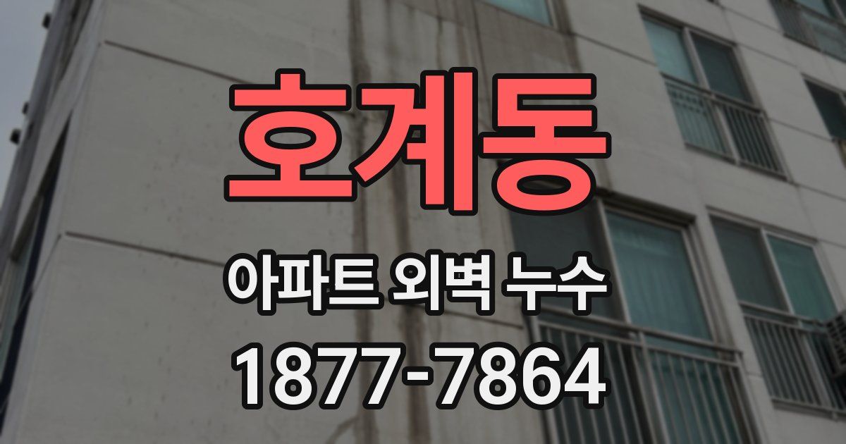 호계동 아파트 외벽 누수