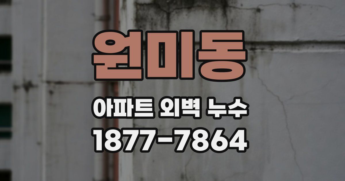 원미동 아파트 외벽 누수