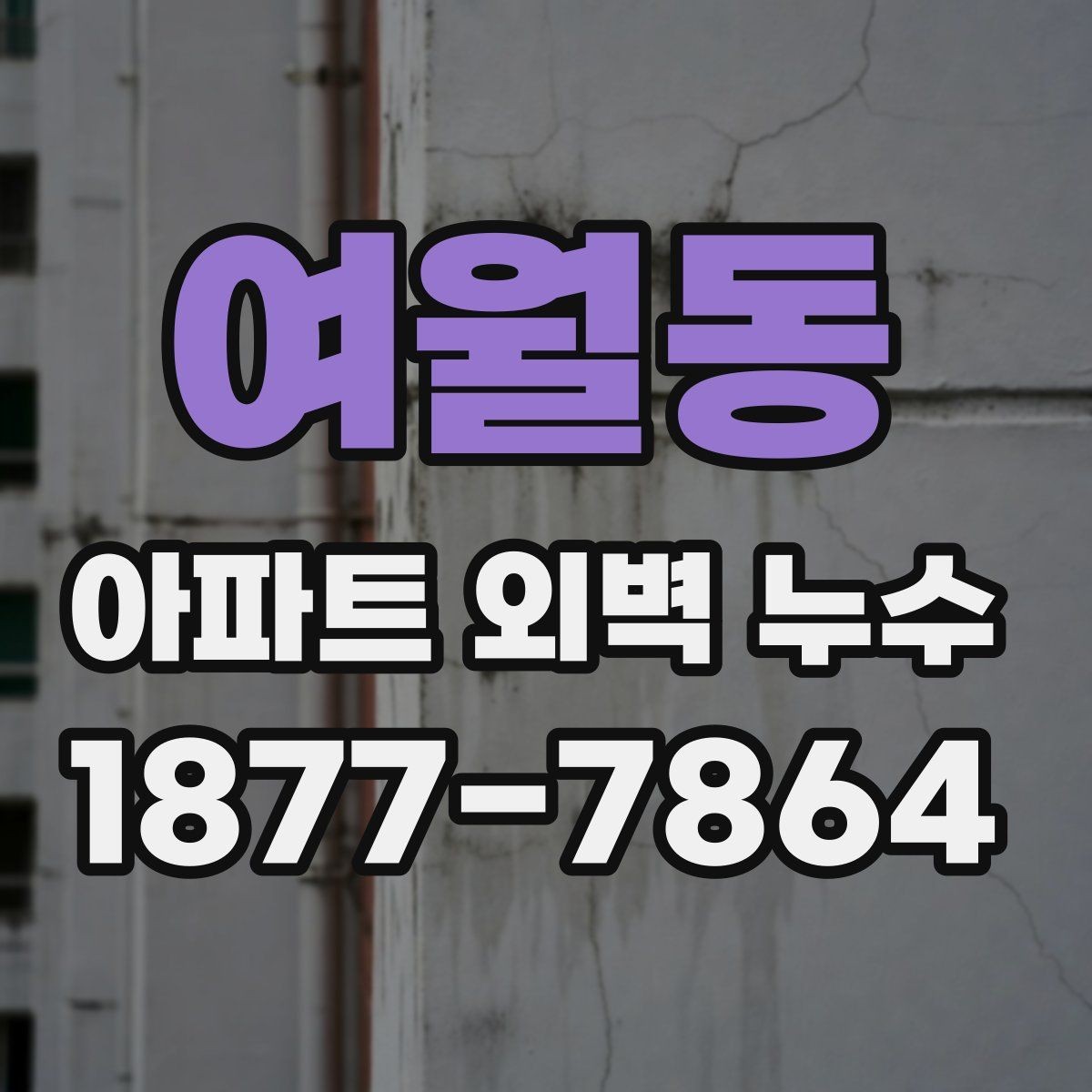 여월동 아파트 외벽 누수 보수 비용은 어떻게 달라질까