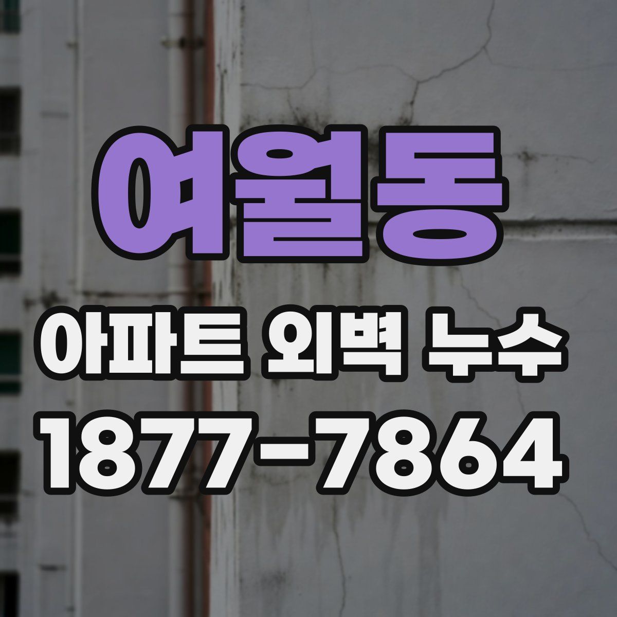 여월동 아파트 외벽 누수