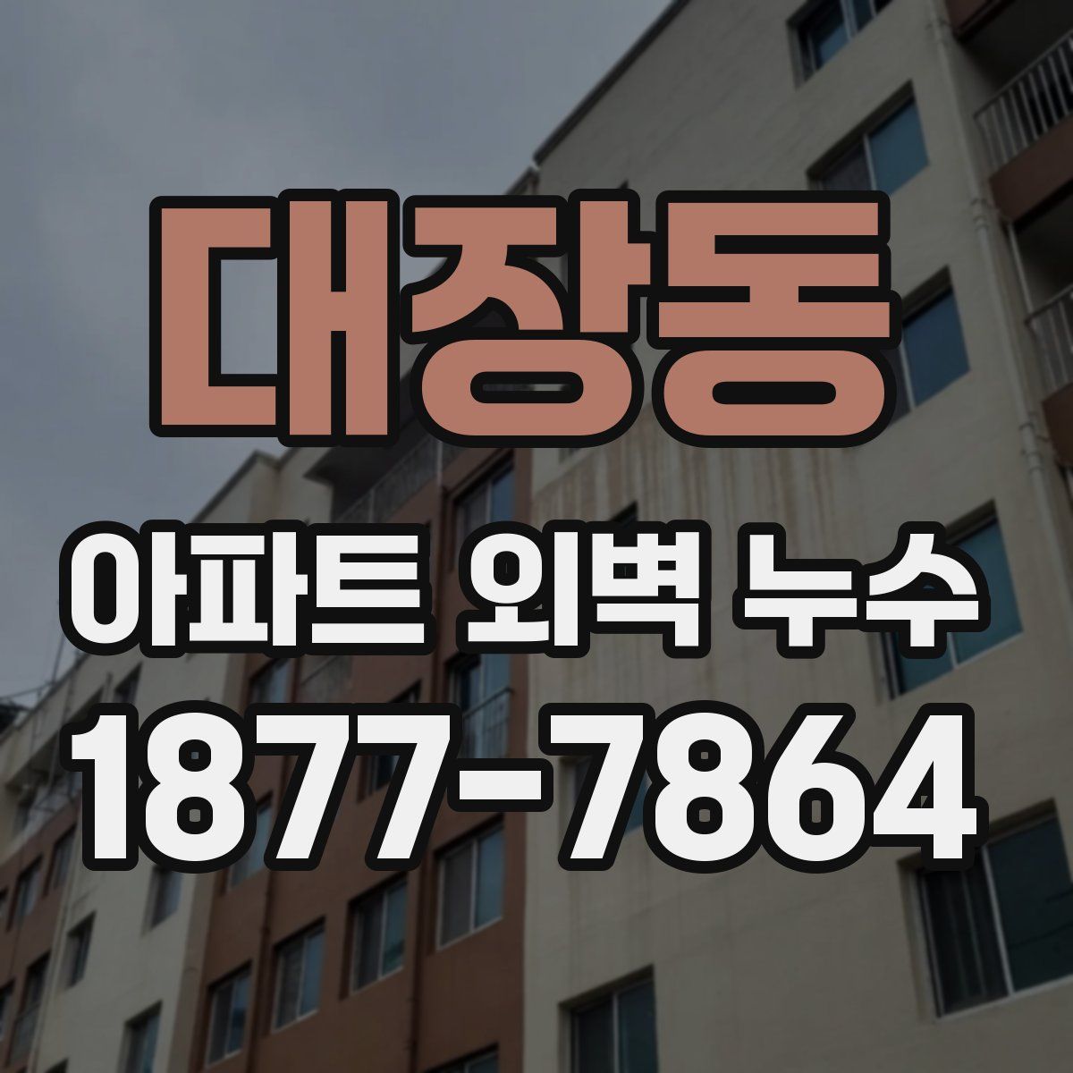 대장동 아파트 외벽 누수