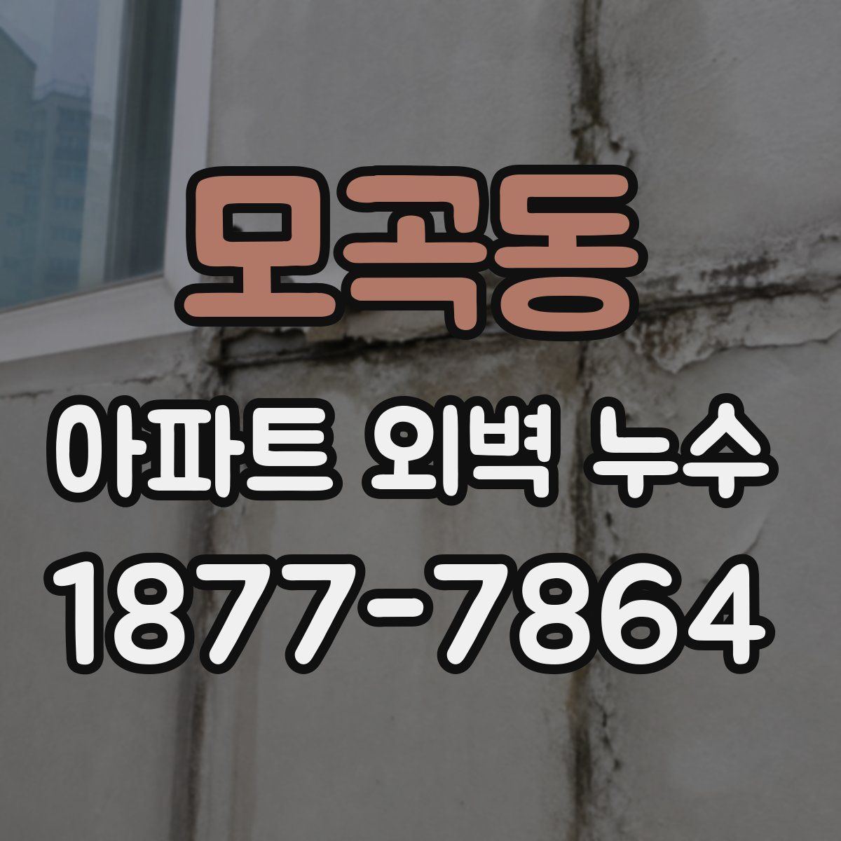 모곡동 아파트 외벽 누수