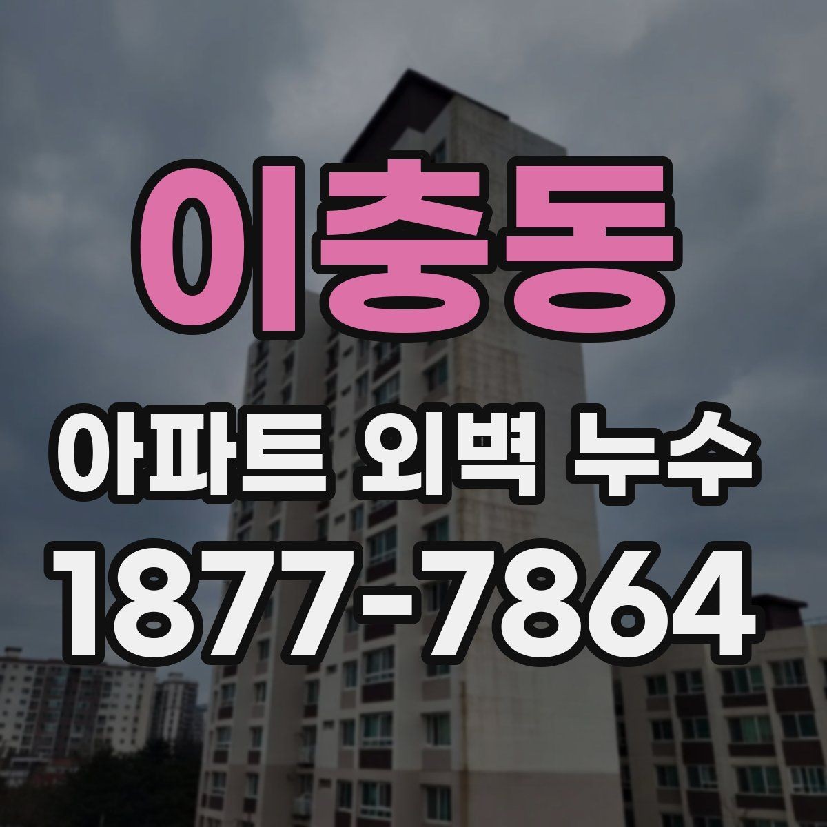 이충동 아파트 외벽 누수 보수 시 공사 방식별 특징