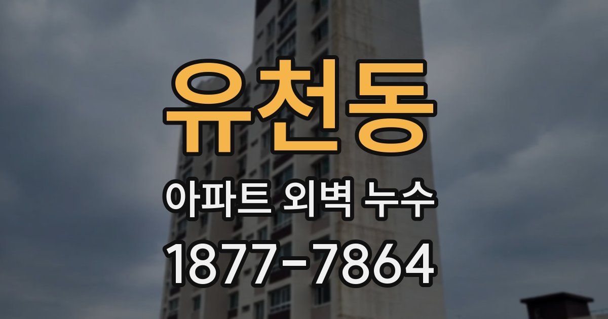 유천동 아파트 외벽 누수