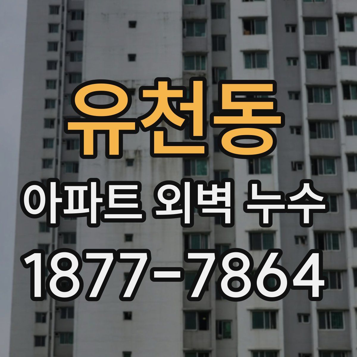 유천동 아파트 외벽 누수
