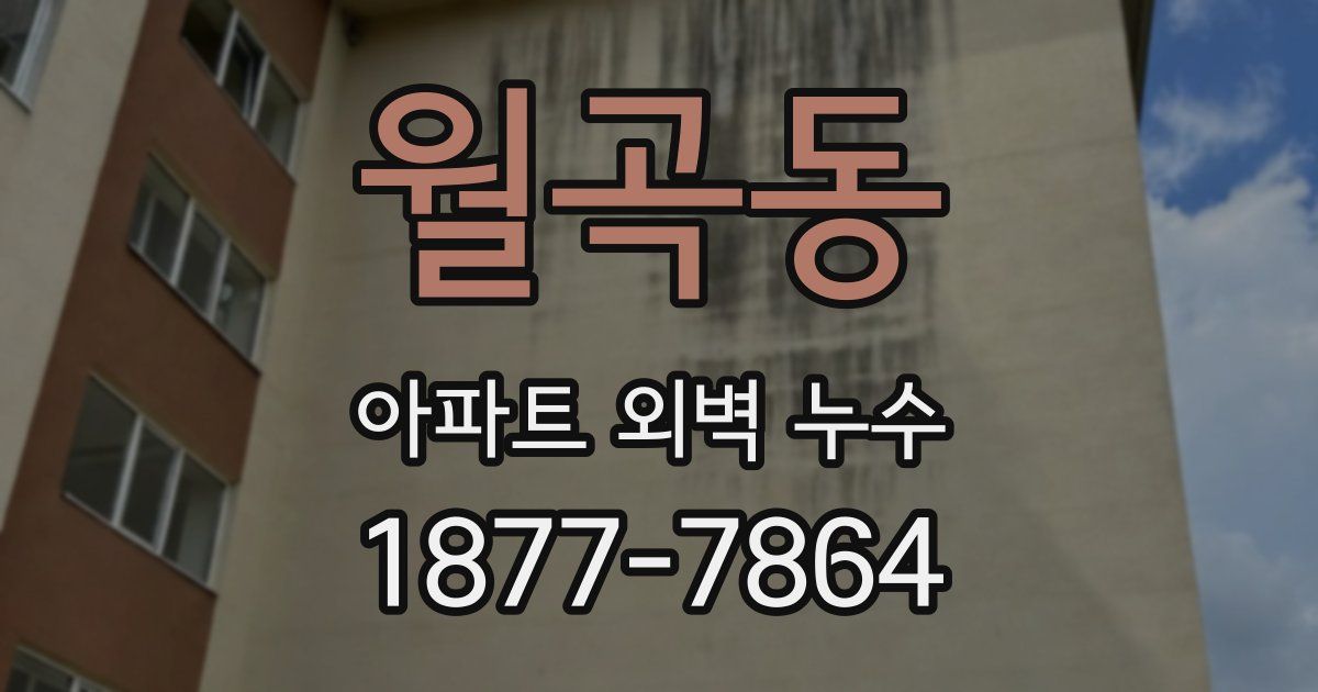 월곡동 아파트 외벽 누수